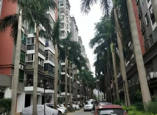 Shenzhen Mansion Spring Projec