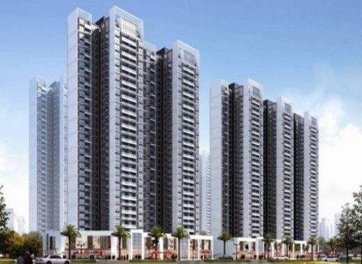 Shenzhen Huafu International &